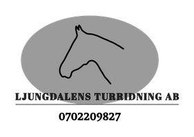 Ljungdalens turridning